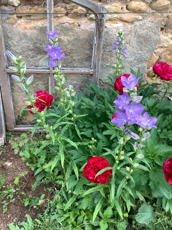 Pivoines Bed & Breakfast Saint-Julien  Dış mekan fotoğraf